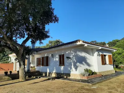 a white house with a tree in front of it at Casa Roure-4BR-Piscina privada-BBQ-Vistas Mar in Sant Cebrià de Vallalta