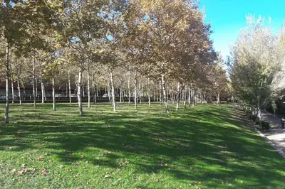 a green field with trees in a park at House in Sant Cugat, 25 Mins to Barcelona center in Sant Cugat del Vallès