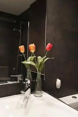 a vase of flowers sitting on a sink in a bathroom at Apartamentos Olivier in Barcelona