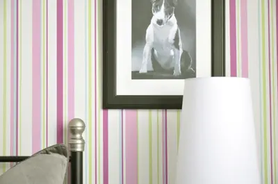 a black and white photo of a dog sitting in a room at Chic & Cheap in Barcelona
