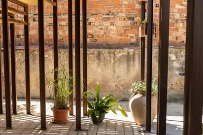 a group of potted plants in front of a brick wall at Cal Teixidor in Mediona
