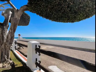 a bench next to the beach with a tree at Apartment Raco in Vilanova i la Geltrú