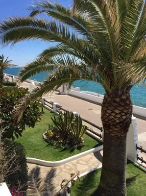 a palm tree on the side of a beach at Apartment Raco in Vilanova i la Geltrú