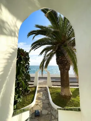 a palm tree and the ocean through a window at Apartment Raco in Vilanova i la Geltrú