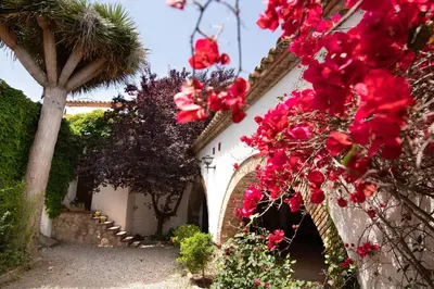 a white building with red flowers and a tree at SITGES Masia Sències in Sitges