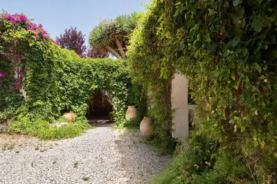 a garden with green ivy and a pathway at SITGES Masia Sències in Sitges