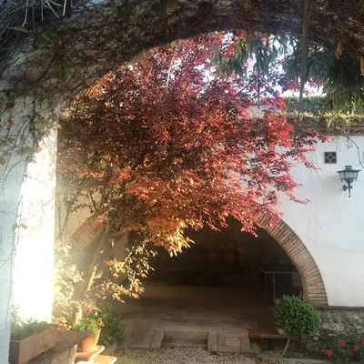an archway in a building with a tree with red leaves at SITGES Masia Sències in Sitges