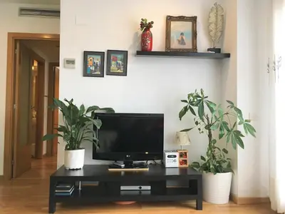 a living room with a tv and two potted plants at Apartment familiar in Barcelona