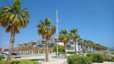 a row of palm trees in front of a building at ALEXANDRA´s BEACH-PORT in Badalona