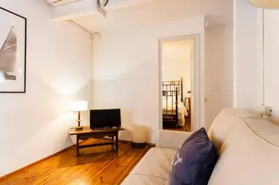 a living room with a couch and a television at Canela Homes BARCELONA BORN in Barcelona