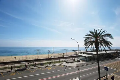 a street with a palm tree next to the beach at Cami Ral in Premiá de Mar