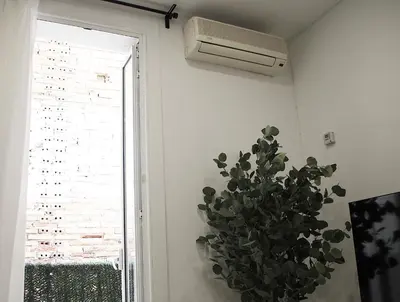 a plant in a room next to a window with a air conditioner at Apartamento Lauda in Hospitalet de Llobregat