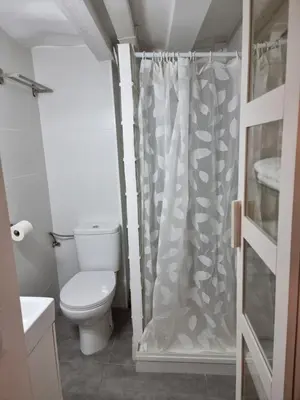 a bathroom with a toilet and a shower curtain at Cozy Apartment downtown BCN, AC, 30 nigths min in Barcelona