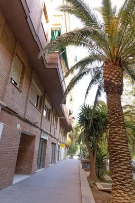 a palm tree on a sidewalk next to a building at Precioso Atico Vistas Montjuic in Barcelona