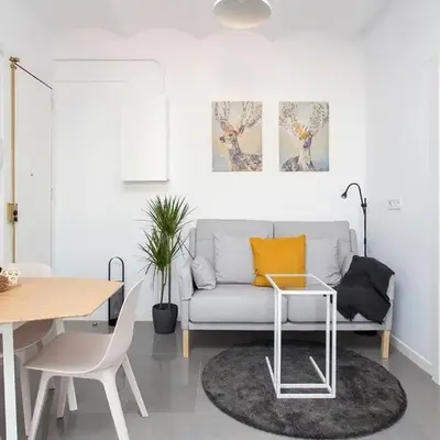 Cozy And Quiet In Trendy Sants