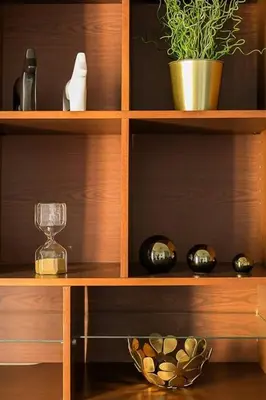 a wooden shelf with a plant and a bowl on it at Relax In A Chic Apartment In Sants in Barcelona