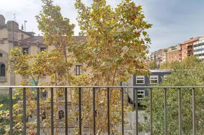 a tree behind a fence in front of buildings at Live Like A Local In Eixample in Barcelona