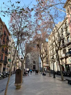 a city street with trees and people walking on the sidewalk at EL BORN - Barcelona - Port 5 pax 2 bedrooms in Barcelona