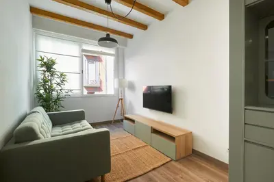 a living room with a couch and a tv at Ol Cute apartment in quiet Olivera st in Barcelona