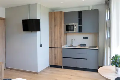 a small kitchen with a sink and a refrigerator at Monturiol Apartaments in Barcelona