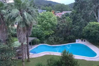 an overhead view of a swimming pool with a palm tree at Vivenda de luxe a Barcelona in Sant Cugat del Vallès