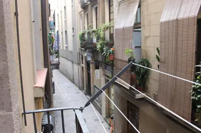 an alley in a city with buildings and plants at Apartaments Ciutat Vella in Barcelona