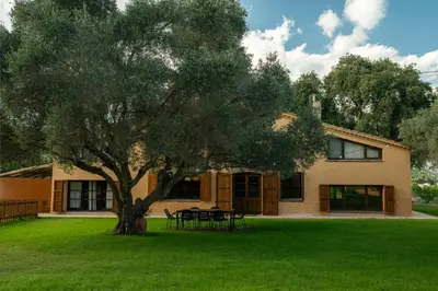a house with a tree and a picnic table at Casa rural El Bruguer Vell in Santa Eulalia de Ronsaná