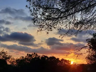 a fire in the sky over a forest at Can Loïs in Sant Cebrià de Vallalta