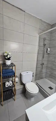 a bathroom with a toilet and a shower and a sink at My best house BCN in Barcelona