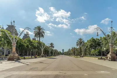 an empty street with palm trees and a blue sky at Canela Homes BARCELONA BRUC in Barcelona