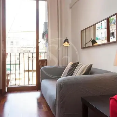 Tranquilo y luminoso apartamento en el Eixample