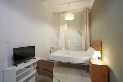 a small room with a bed and a television at Estudio en Gracia 2 in Barcelona