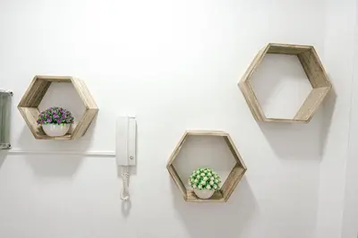 three wooden shelves with potted plants on a wall at Cotonat in El Arrabal