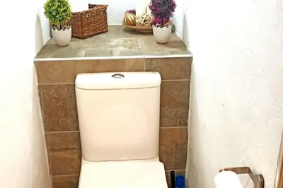 a toilet in a bathroom with three potted plants at Casa Salud in Piera
