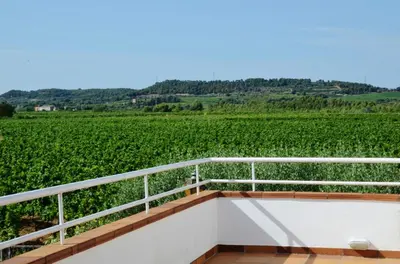 a balcony with a view of a vineyard at Casa Fontanals in Pla del Panadés