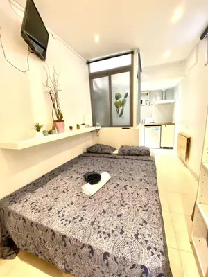 a large room with a large bed in a room at O43 Center Barça 4 3 in Barcelona