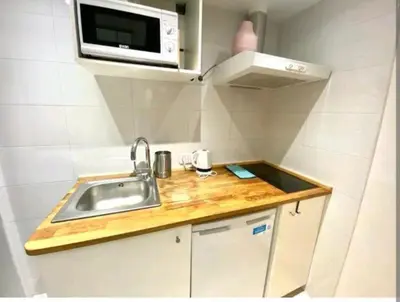 a small kitchen with a sink and a microwave at 033 Basic Barça 3 3 in Barcelona