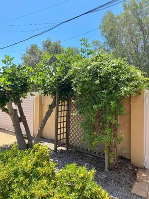 a gate with two trees in front of a building at Villa Isabel Sitges, Rocamar in Sant Pere de Ribes