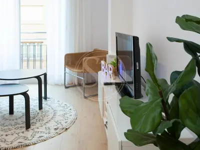 a living room with a tv and a potted plant at Agradable y luminoso apartamento ideal para 5 in Barcelona