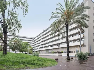 a palm tree in front of a large building at Alcam Espronceda in Barcelona