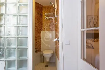 a small bathroom with a toilet and a shower at Cómodo piso en Eixample in Barcelona