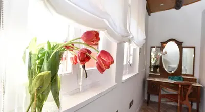 a window with a vase with red flowers in it at Hotel Can Carol in Capellades