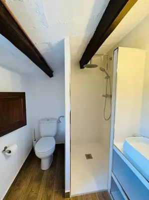 a small bathroom with a toilet and a shower at Casa Rural CAL PAGÉS Montseny in Montseny