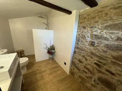 a bathroom with a stone wall and a toilet at Casa Rural CAL PAGÉS Montseny in Montseny