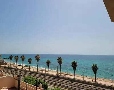 a view of a beach with palm trees and the ocean at Apartamento Bonavista in Vilassar de Mar