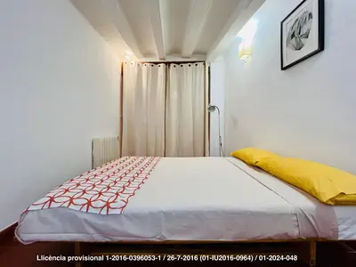 a small bedroom with a bed with a curtain at Encanto Gótico Histórico Cerca de Las Ramblas in Barcelona
