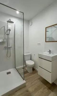 a bathroom with a shower and a toilet and a sink at Hostal Oliveta Budget in Barcelona