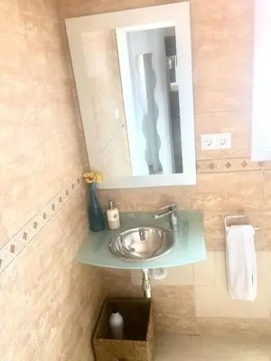 a bathroom with a sink and a mirror at Apartment Aptucat in Barcelona