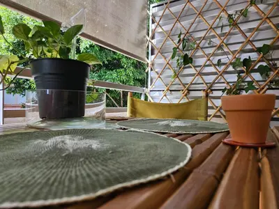 a wooden table with two plates and a plant on it at EstudioSueñosSuite in Sant Just Desvern