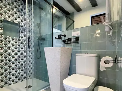 a bathroom with a toilet and a shower at Apartment Rafol in Vilanova i la Geltrú